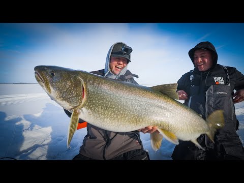 Giant Lake Trout Of The North (My Biggest Through The Ice)