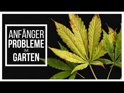 , title : 'Typische Anfängerfehler im 🥦 Garten - Was du wissen solltest!'