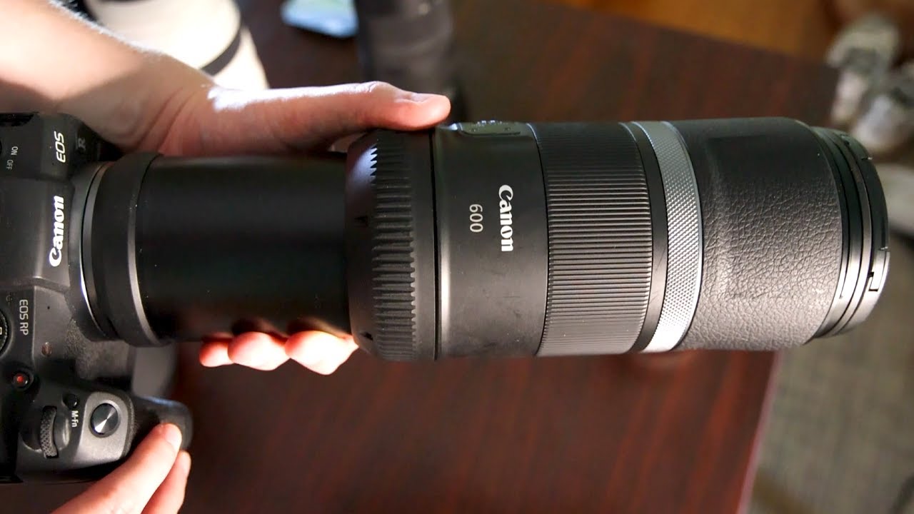 Canon RF 600mm f11 Fast Review - Long Reach Reasonable Price