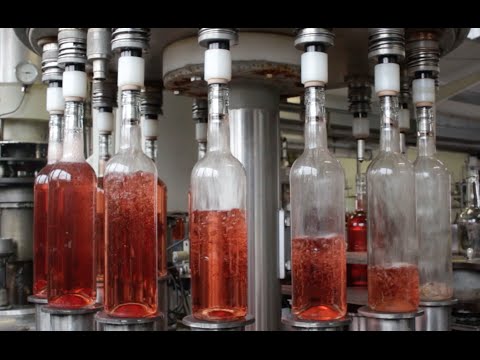 agriKULTUR: Stephanie - Es ist Wein!