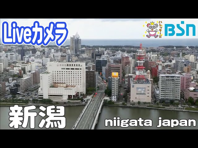 BSN新潟放送公式チャンネル のライブ配信 cctv 監視器 即時交通資訊