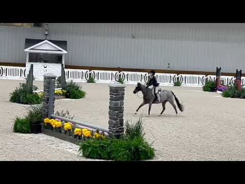 Raspberri Jam video 3