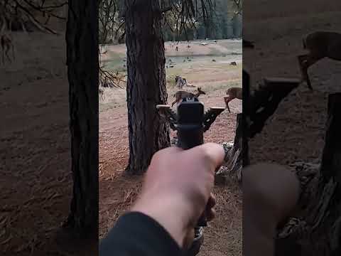 Handgun Hunting Deer Glock 20sf 10 mm