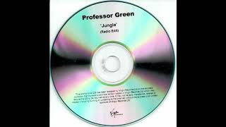 Professor green “jungle” DJ Hayes, Waypoint remix