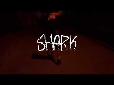 DejVV0  - s h a r k (VIDEO)