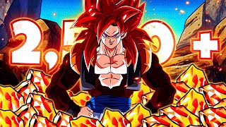 WHAT!? A DOKKAN STREAM?! CAN WE RAINBOW SS4 GOGETA!? | DRAGON BALL Z DOKKAN BATTLE