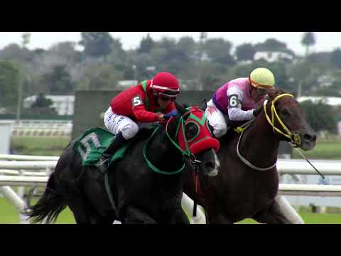 220430 c11 REBELDE SIN CAUSA