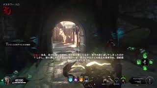 ちょっとだけゾンビしたいかも　bo4 zombie
