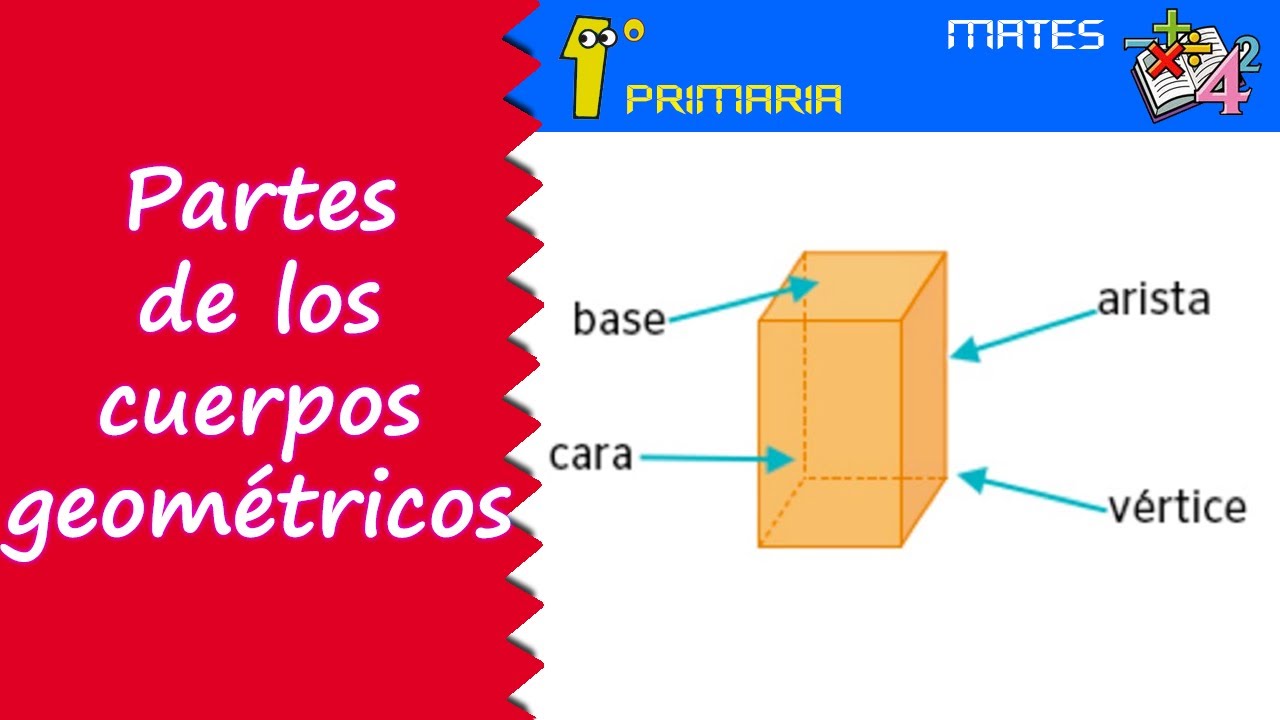 Matemáticas. 1º Primaria. Tema 8 Partes de los cuerpos