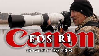 Shooting Canon's R1 at 51, 200 ISO....in  poor light at the beach.... San Diego fog.