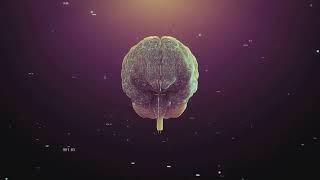 Is the Universe Actually Conscious  Mind