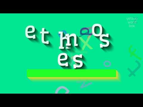 How to say "ethnoses"! (High Quality Voices)