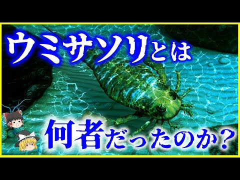 サソリ科について詳しく解説