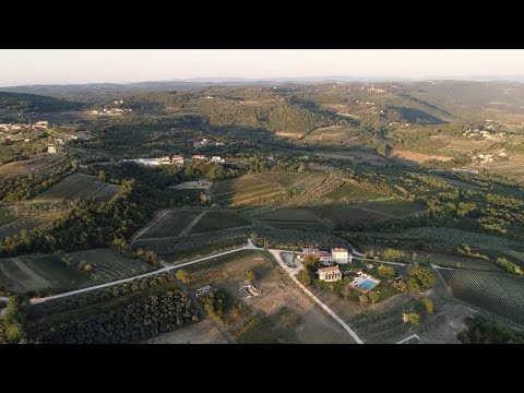 Buje, Istria, Croatia: Winemaker Giorgio Clai believes in Europe and explains pandemic.