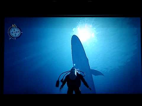 Endless Ocean (Wii) - Blue Whale