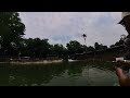 Episode 10 Aunty Saltwater Private Pond 2024