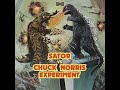 Chuck Norris Experiment - Turning Me Inside Out 2020 Chuck Norris Experiment - Turning Me Inside Out 2020
