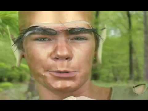 P.L.F. - A Grim Afterthought (Leslie Hall cover)