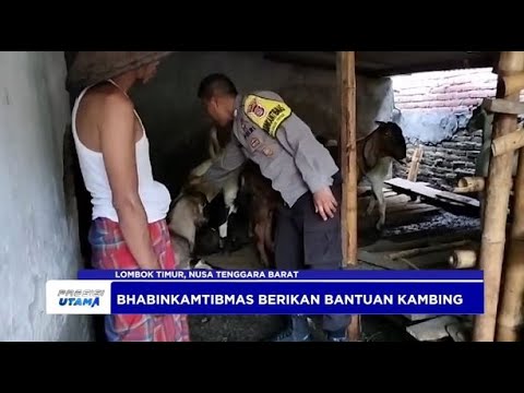 BHABINKAMTIBMAS POLRES LOMBOK TIMUR  BERIKAN BANTUAN KAMBING