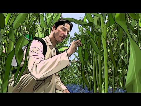 A Scanner Darkly - Final Scene