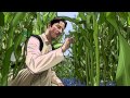 A Scanner Darkly Final Scene