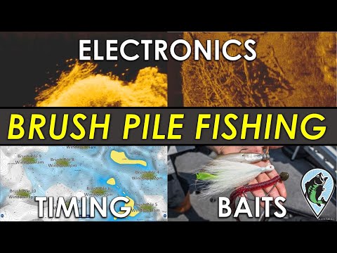 Complete Guide to Brush Pile Fishing | Sonar Images, Areas, Baits, Timing and More for Bass!