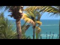 London Grammar - Sights - HELLOWORLD Remix ...