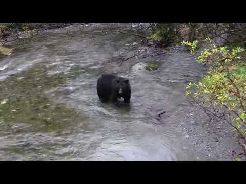 { LET'S PLAY AROUND } BY ETHAN MARTIN