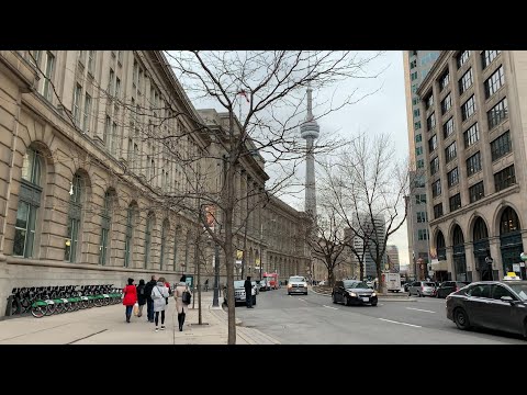 Discover Canadian food in Toronto