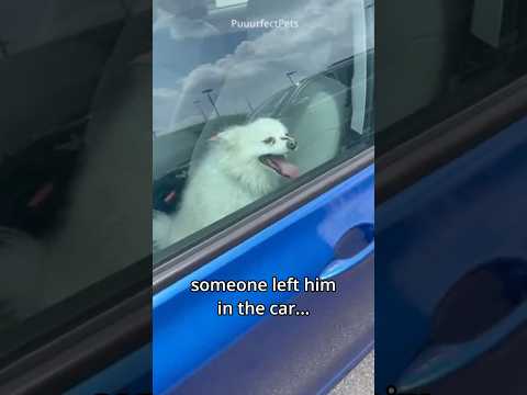 she left him in the car... i needed to do something