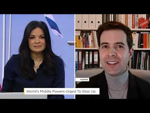  Can Middle Powers Shape the New Global Order?