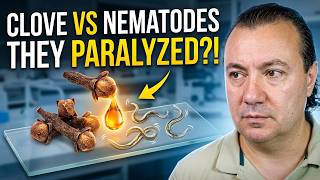 Karanfil ve Nematodlar: Anında Felç Oldular mı?! 😱🔬