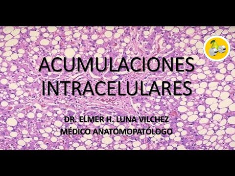 ACUMULACIONES INTRACELULARES / Dr. Elmer Luna Vilchez