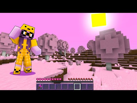 MINECRAFT MA È UN GIOCO PER RAGAZZE