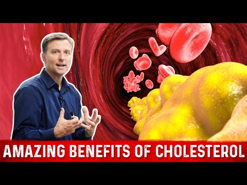 The Real Purpose of Cholesterol – Dr Berg on Cholesterol levels Part 1