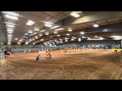 Asti AKC Masters Standard 7.8.2023