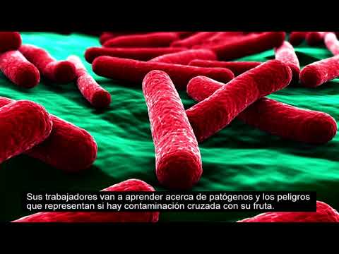 Hand Washing and Glove Use Training Video Trailer