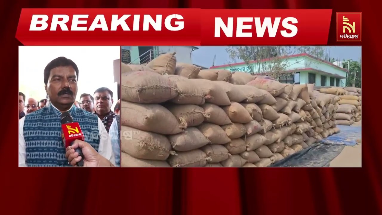 Paddy Procurement Update 2025: Mandis Will Open from November 25 | Odia News