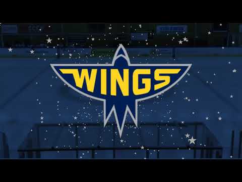 Wings HC Arlanda Målhorn/Goal Horn 2020/21