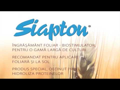 siapton 0030