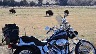 The Goodnight Loving Trail