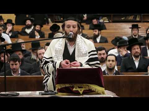 Cantor Yaakov Rosenfeld  Live  Maariv Sfira 2023 Williamsburg