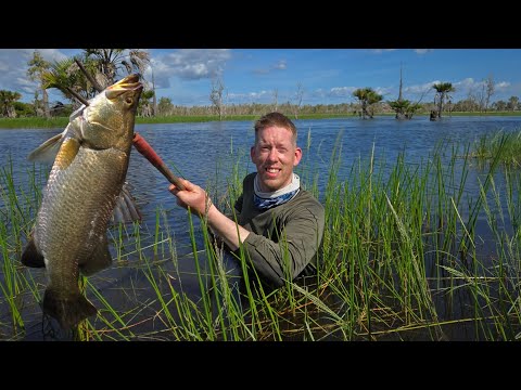 2 Weeks in Australia - Swimming with Crocodiles, Racing Rally Cars & Petting Kangaroos