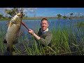 2 Weeks In Australia Swimming With Crocodiles Racing Rally Cars Petting Kangaroos