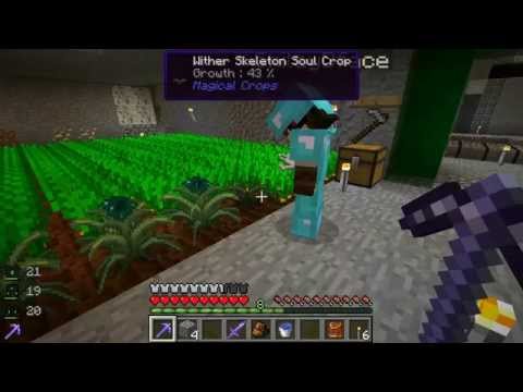FTB Monster :: Automated Magical Crop Farm  - Ep. 11