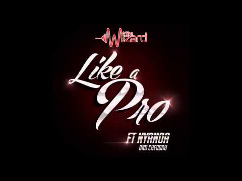 LIKE A PRO  The Wizard ft Nyanda