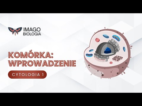 Komórka: wprowadzenie