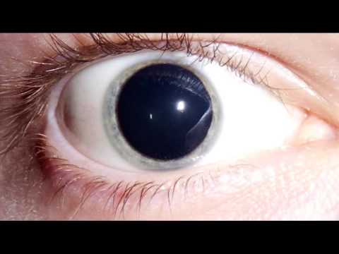 Andrew Meller - Gusta Magla (Original Mix)