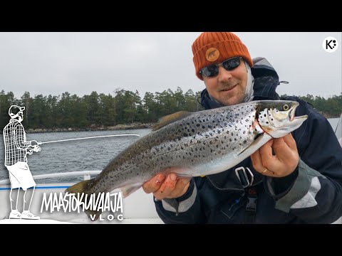 UUSIA PAIKKOJA opettelemassa – meritaimen & välisaariston teoria