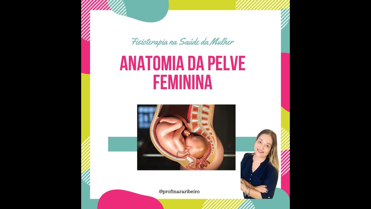 Anatomia da Pelve Feminina